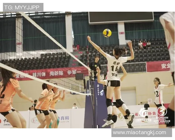 成都排球队实力强劲荣登排球个人能力排行榜第二名的背后故事 成都排球队实力强劲荣登排球个人能力排行榜第二名的背后故事