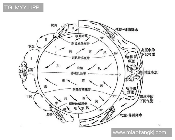 杭州羽毛球队整体压制分析及其对羽毛球运动发展的影响 杭州羽毛球队整体压制分析及其对羽毛球运动发展的影响