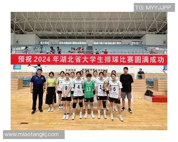 武汉排球队在全国排球个人能力排行榜中荣获第七名的辉煌成就 武汉排球队在全国排球个人能力排行榜中荣获第七名的辉煌成就